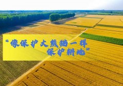 守住这条红线，习近平再三强调